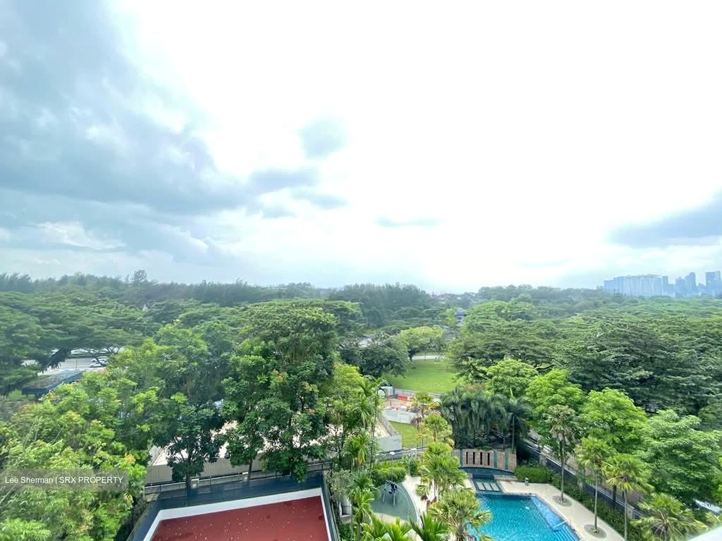 The Belvedere (D15), Condominium #530920991